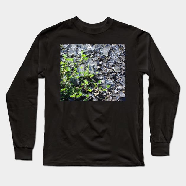 Clover and Glass Long Sleeve T-Shirt by Julie Vaux